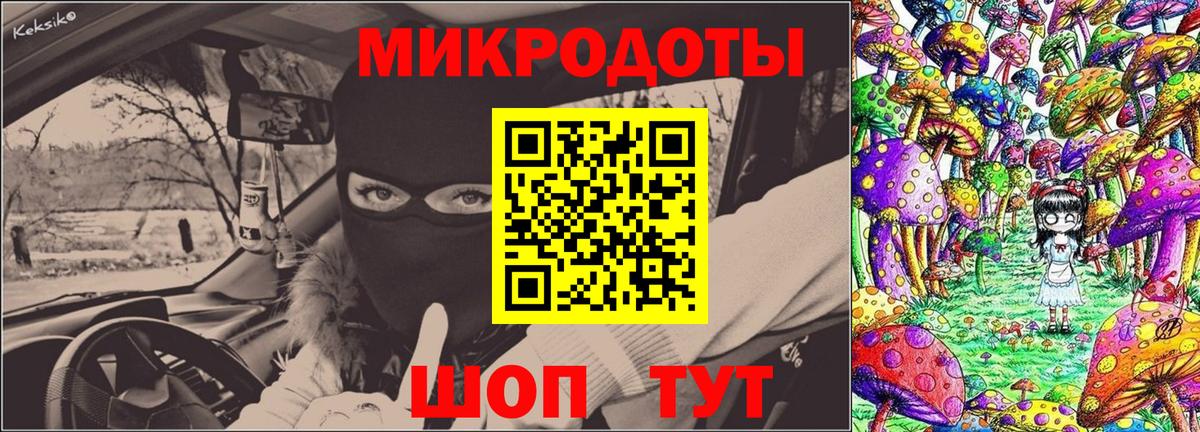 Галлюциногенные грибы Psilocybine cubensis  Вход с VPN  Галлюциногенные грибы прущие грибы  Узловая 